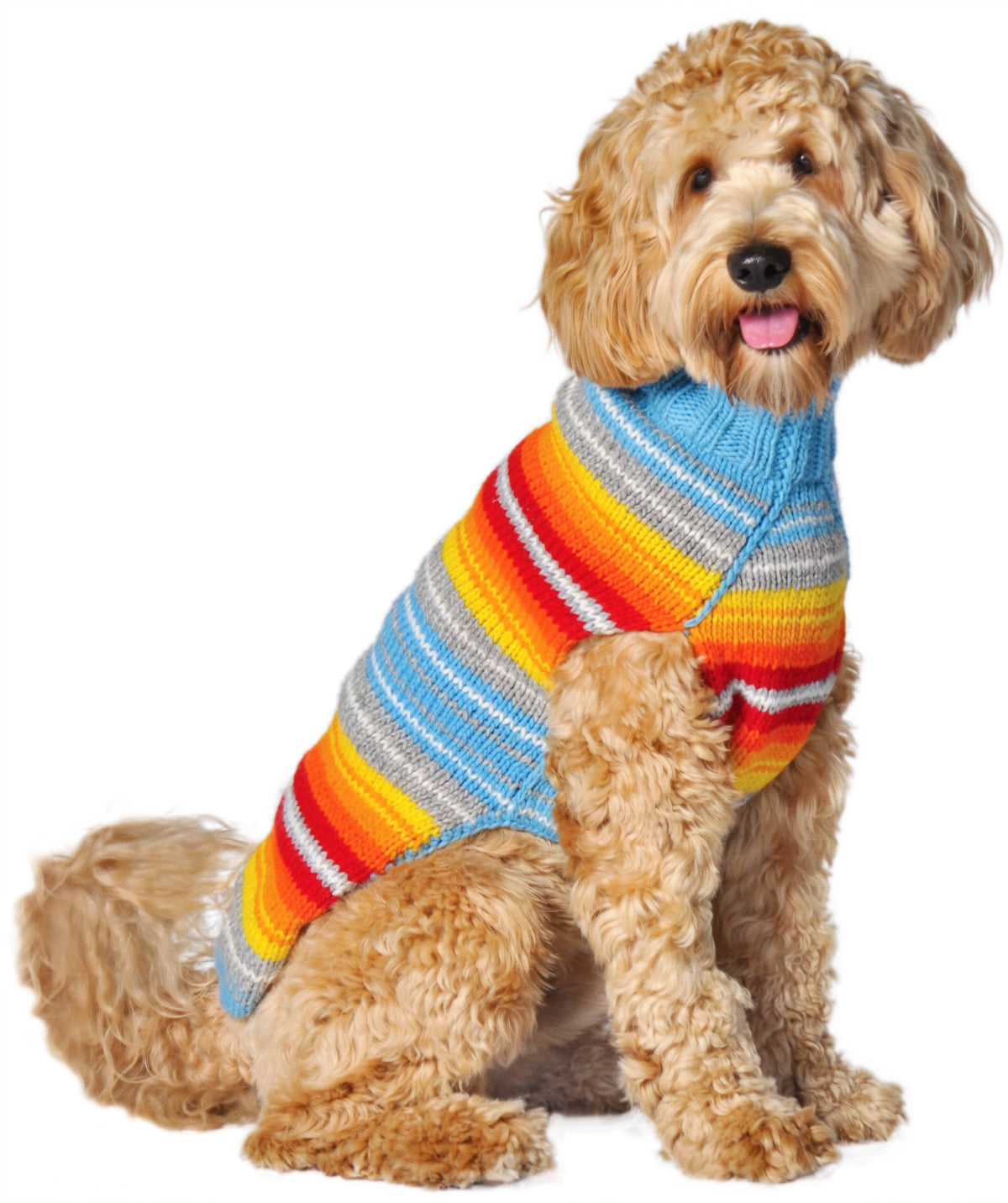 Chilly Dog- Turq Serape L