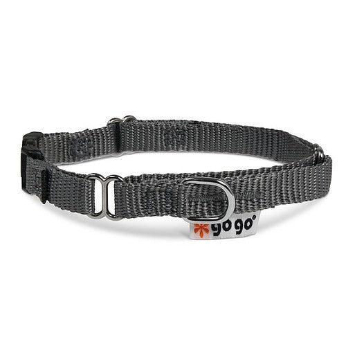 Gray GoGo nylon martingale dog collar, extra small