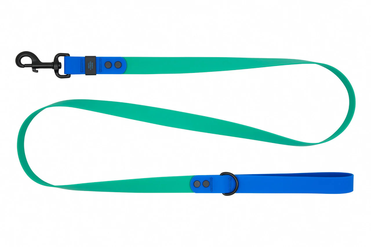 RC PETS WATERPROOF LEASH 3/4 X 5 PARAKEET SAPPHIRE