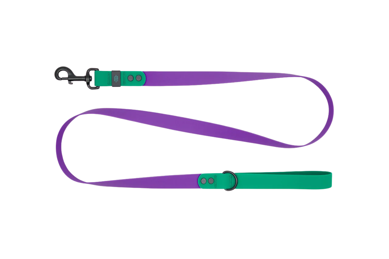 RC PETS WATERPROOF LEASH 3/4X5 PURPLE PARAKEET