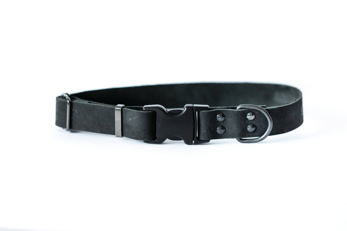 Euro-Dog- Leather Collar Black XL 16"-26"