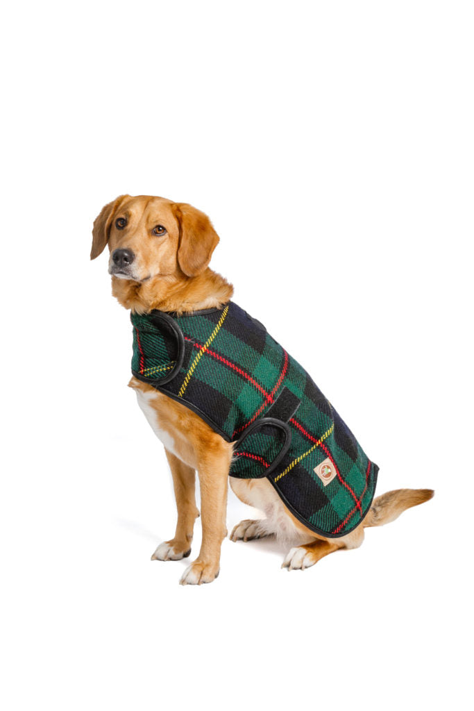 Chilly Dog Navy Tartan Blanket Coat