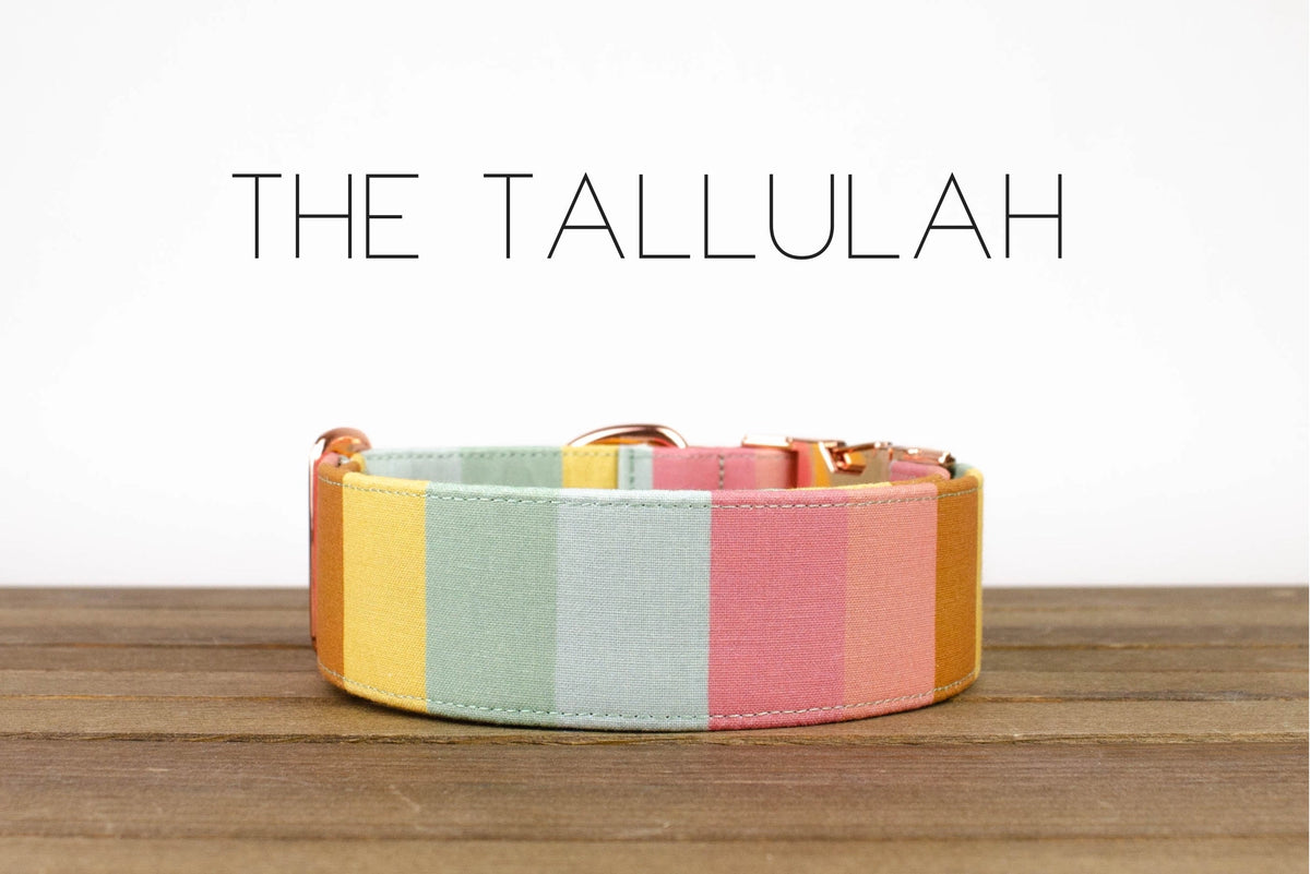 Puddle Jumper Pups The Tallulah Collar Small