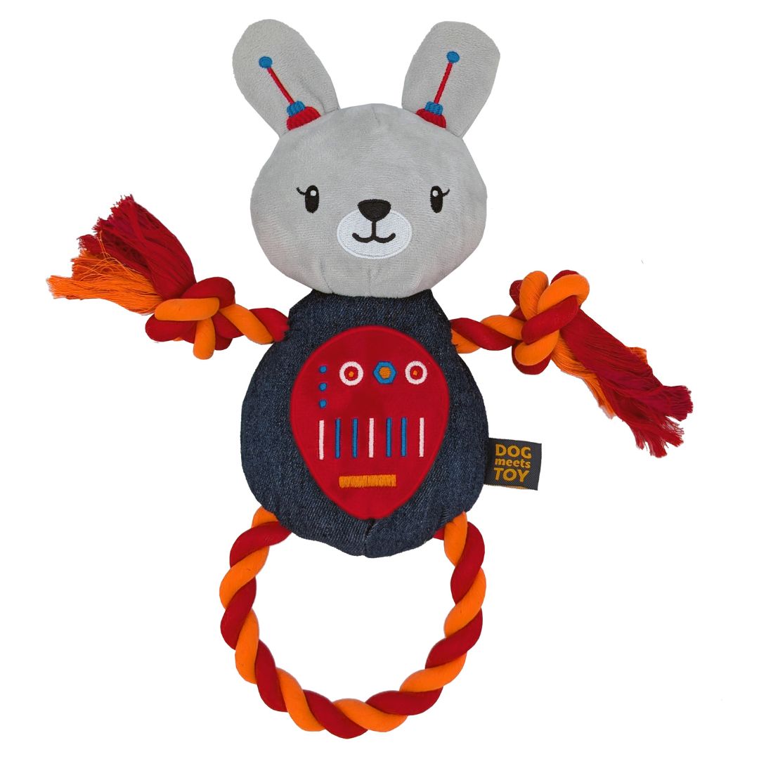DMT ROBOT BUNNY