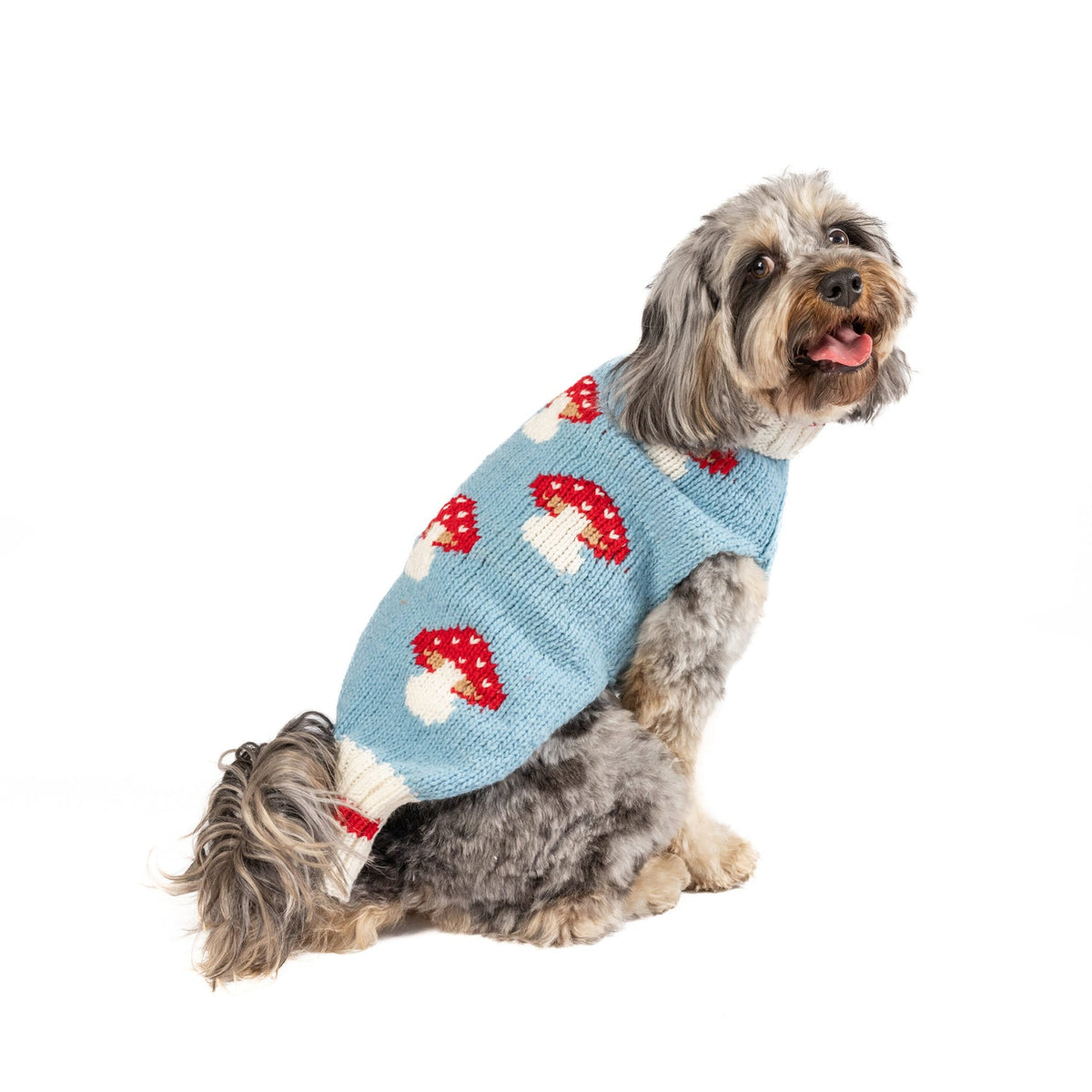 CHILLY DOG MUSHROOM SWEATER SMALL