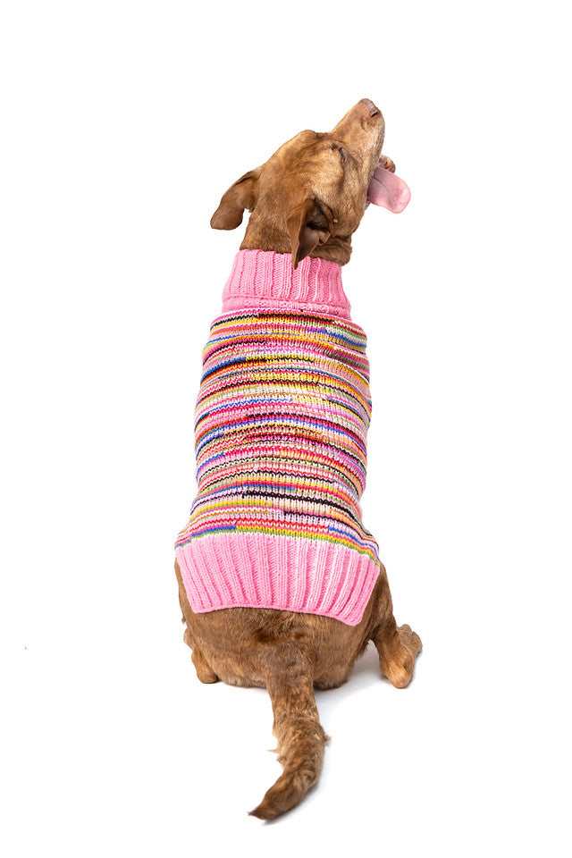 Chilly Dog Pink Multi Color Sweater Medium