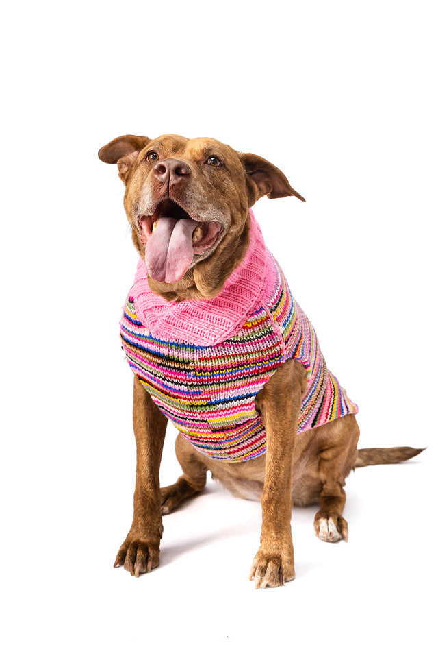 Chilly Dog Pink Multi Color Sweater XS