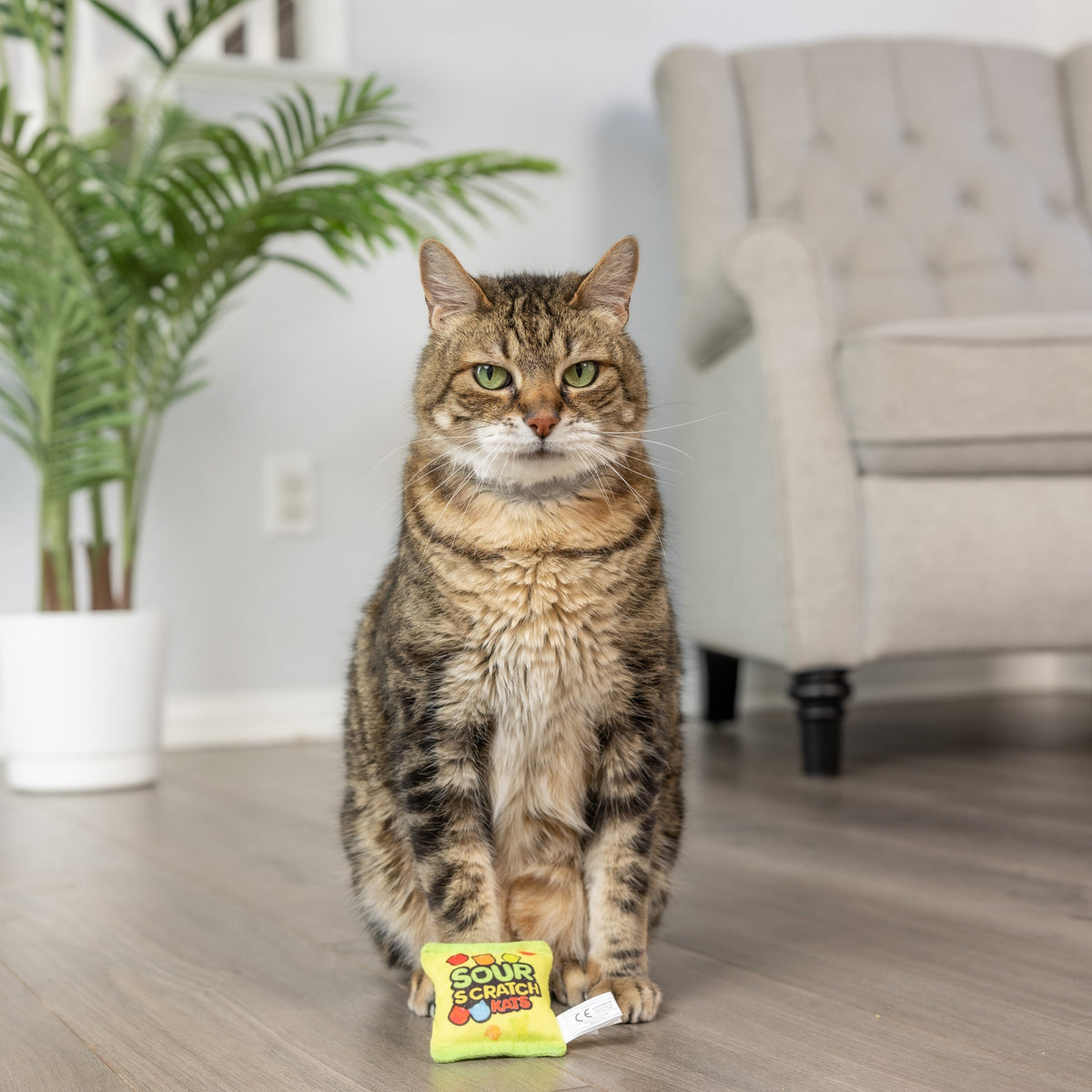 Huxley & Kent Sour Scratch Kats Cat Toy
