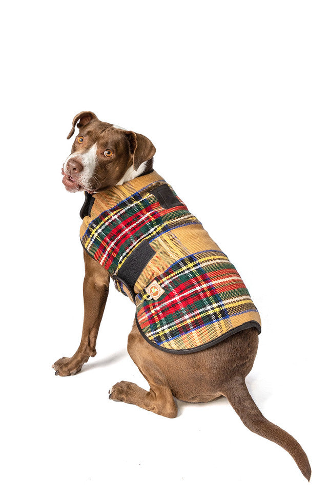 Chilly Dog Tan Tartan Blanket Coat