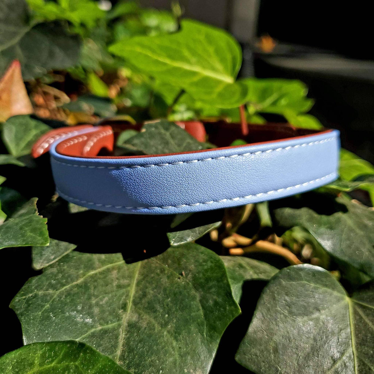 Petponia Luxe Vegan Leather Collar Blue Medium