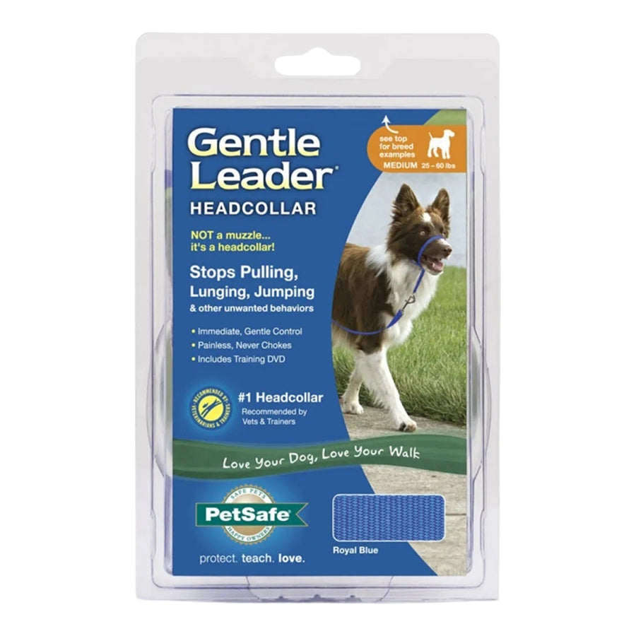 PetSafe Gentle Leader Royal Blue Medium