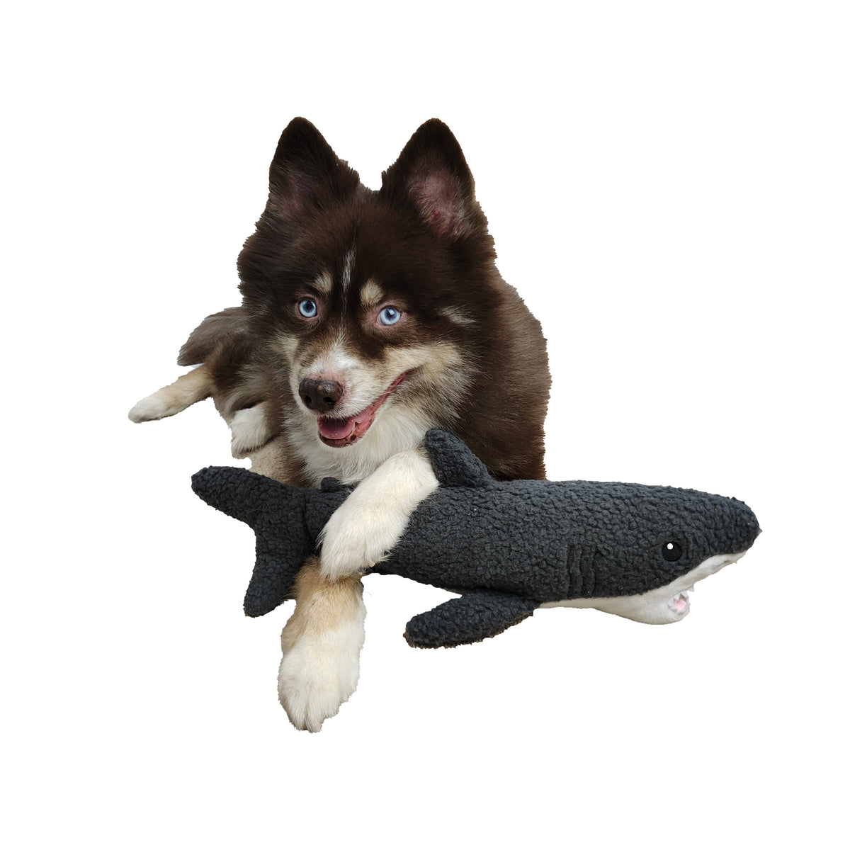 Barkers Shark Fleece Toy