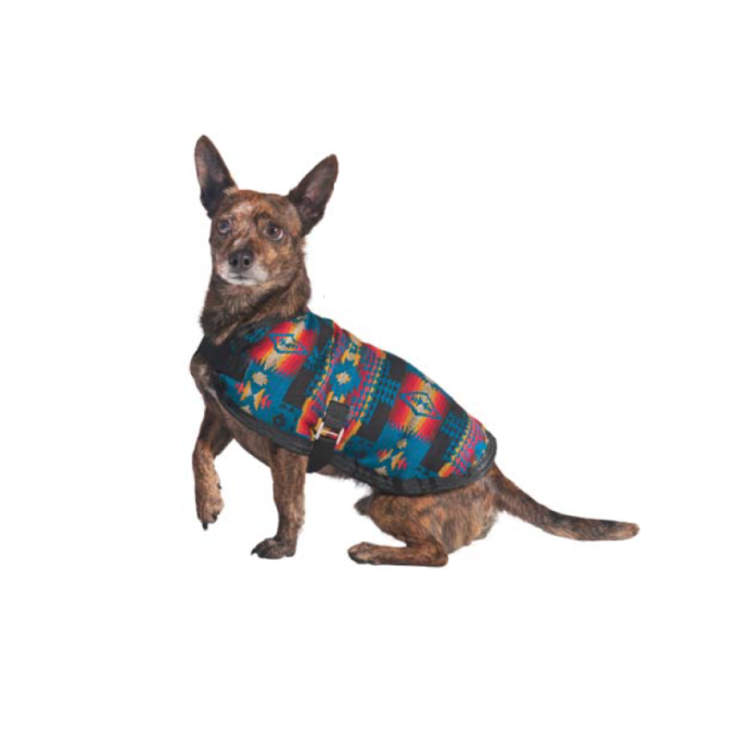 Chilly Dog Turquoise Southwest Blanket Coat