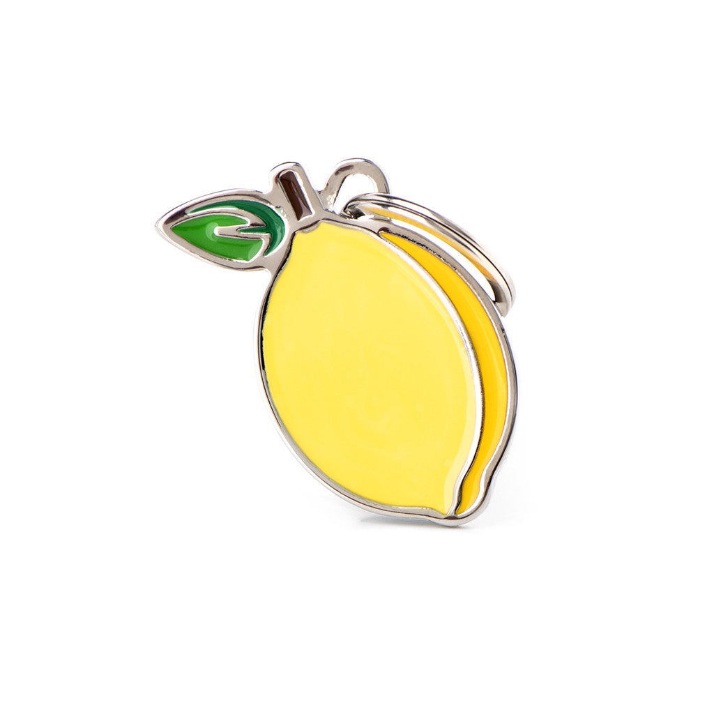 MY FAMILY TAG LEMON