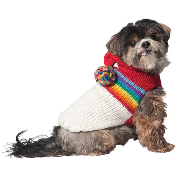 Chilly Dog Vintage Ski Hoodie XS