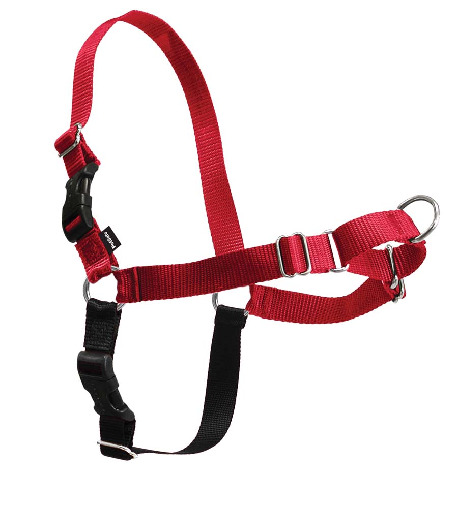 PetSafe Easy Walk Red Medium
