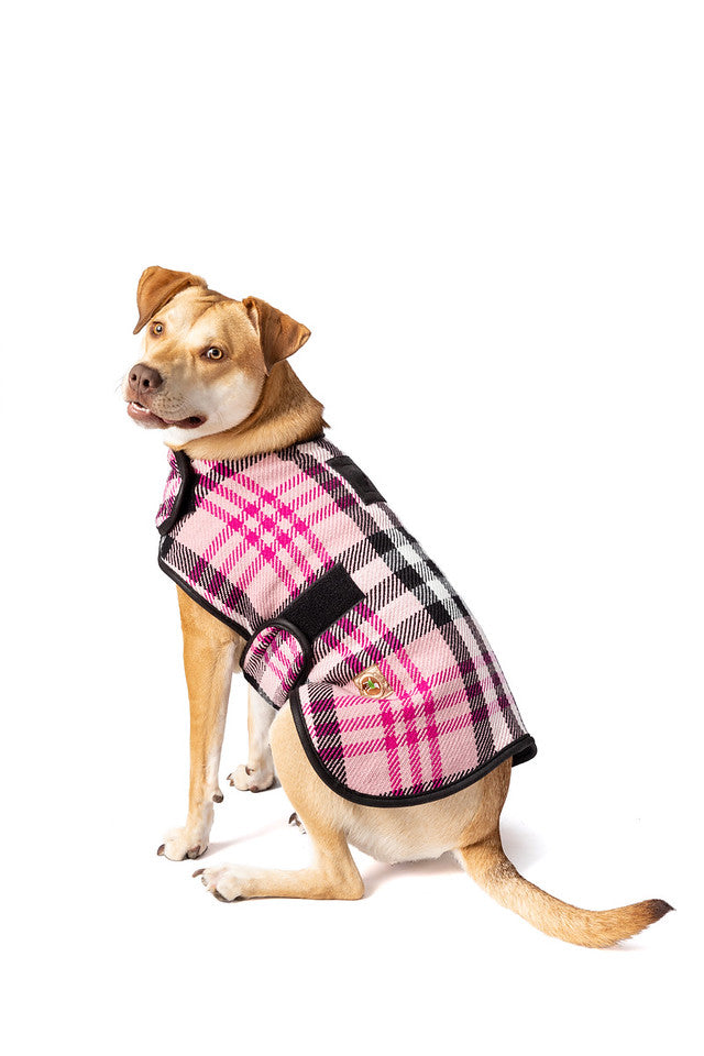Chilly Dog Pink Plaid Blanket Coat