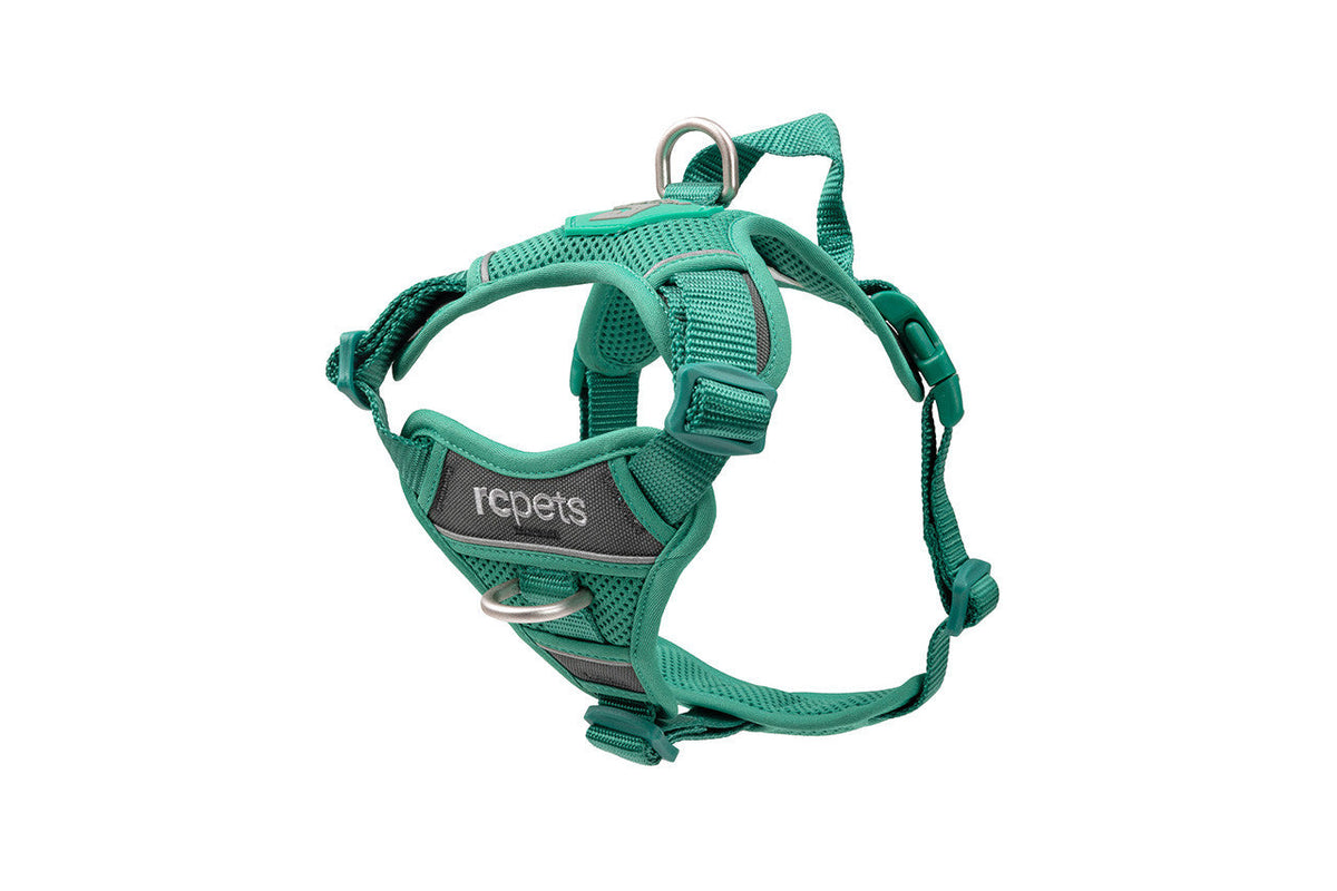 RC Pets Momentum Harness Parakeet Small