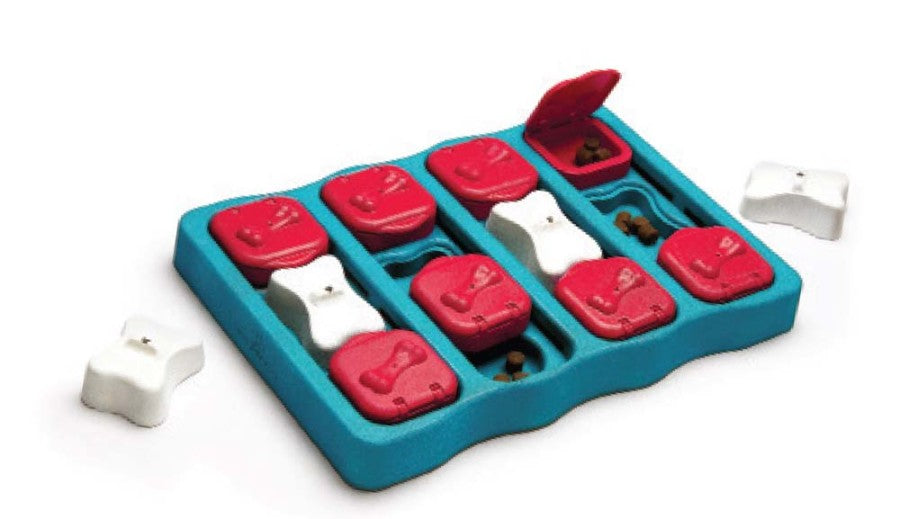 Outward Hound Interactive Brick