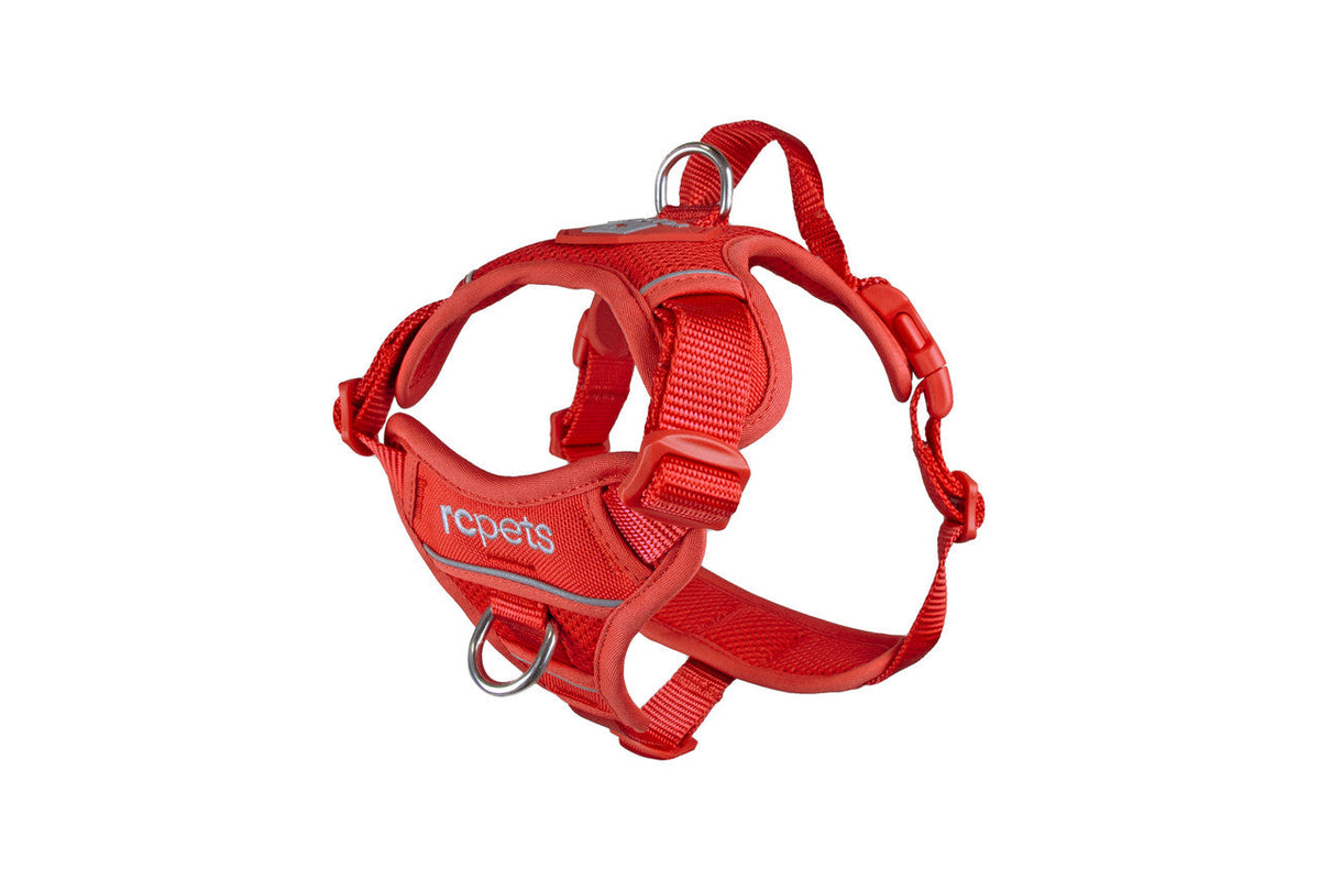 RC Pets Momentum Harness LG Goji Berry