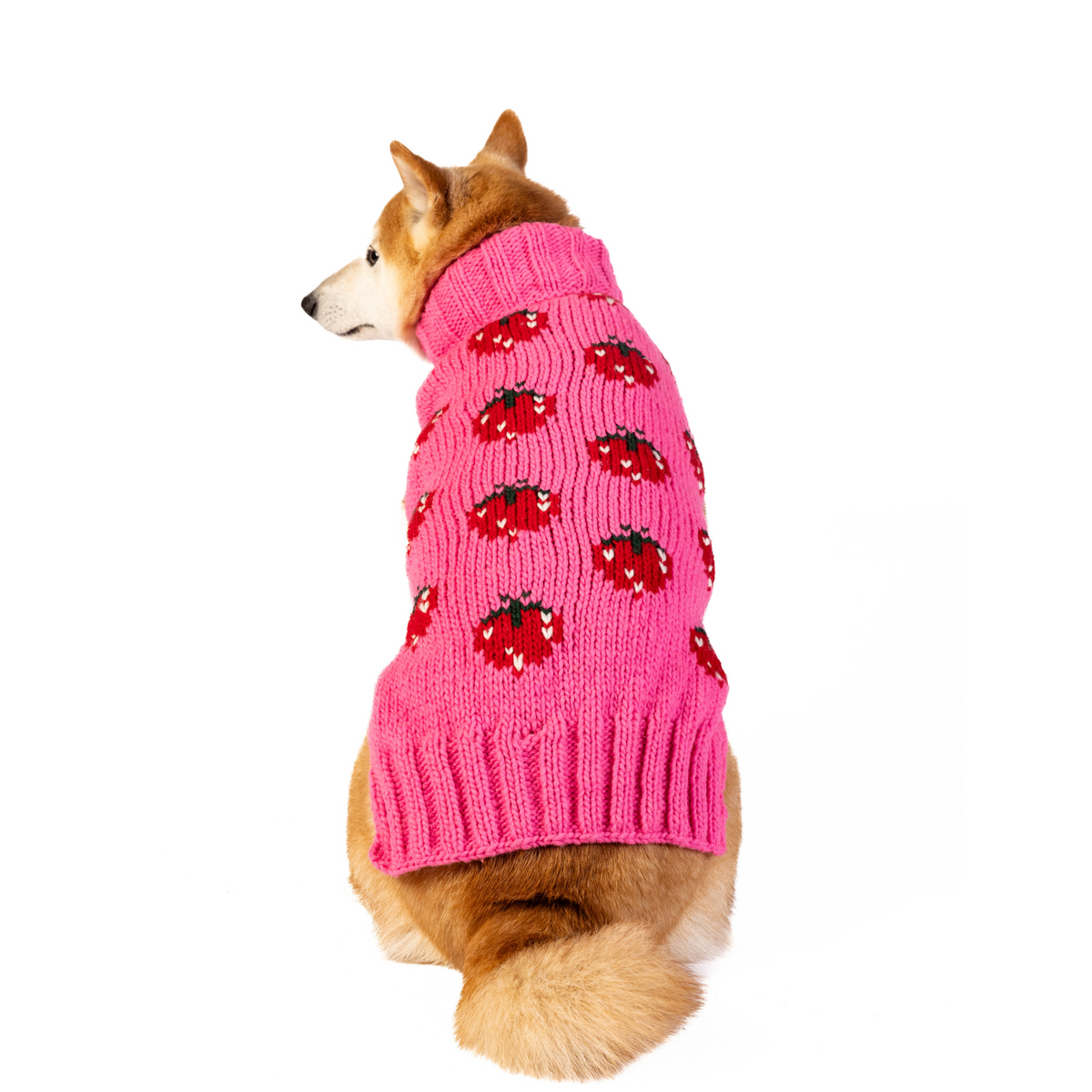 Chilly Dog Strawberry Sweater