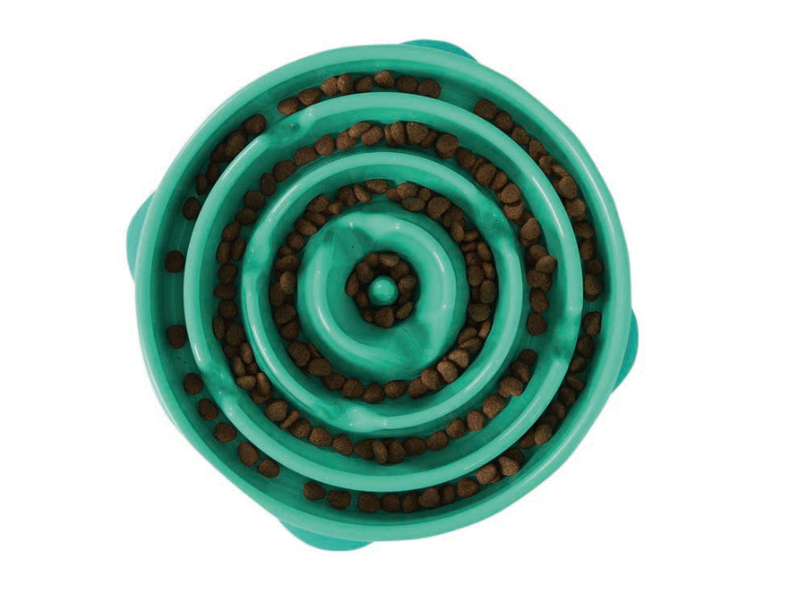 Outward Hound Fun Feeder Turq LG