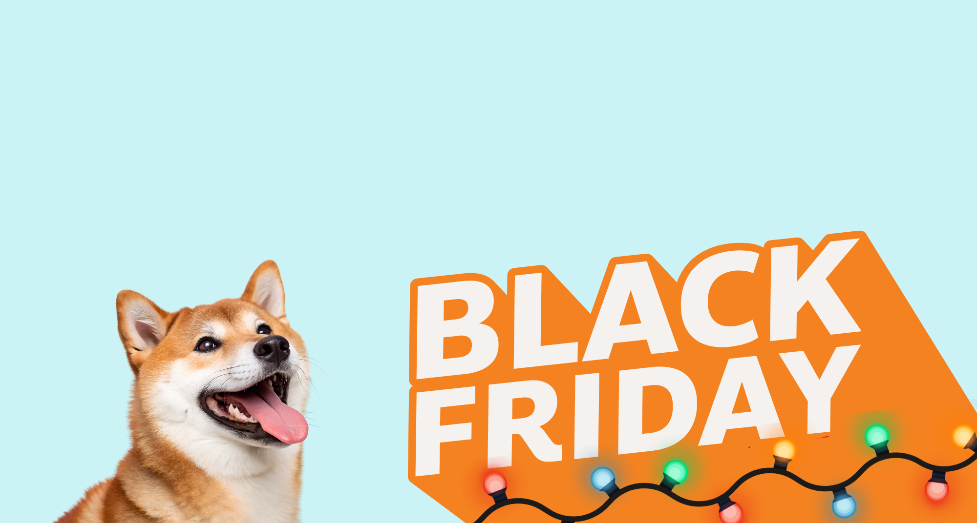 Black Friday 2025 Specials Are Here!