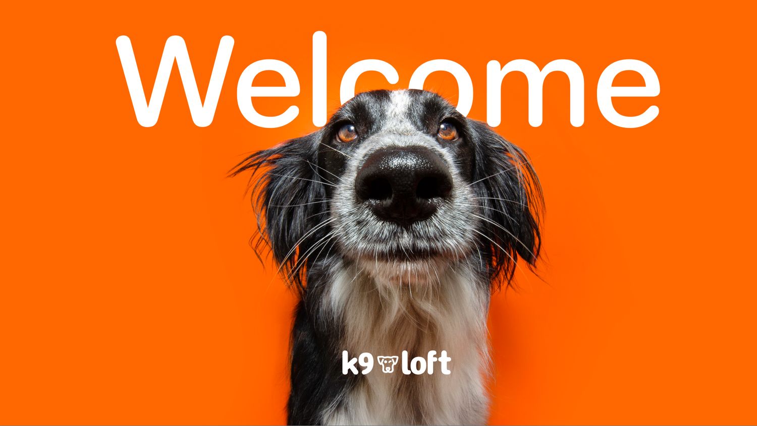 We've Got a Fresh New Look!