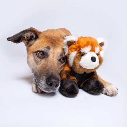 Fluff &amp; Tuff Archie Red Panda plush dog toy