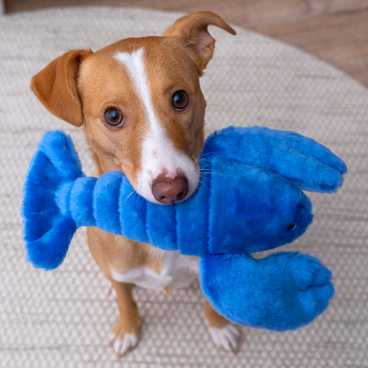Fluff &amp; Tuff Lucky Lobster plush dog toy