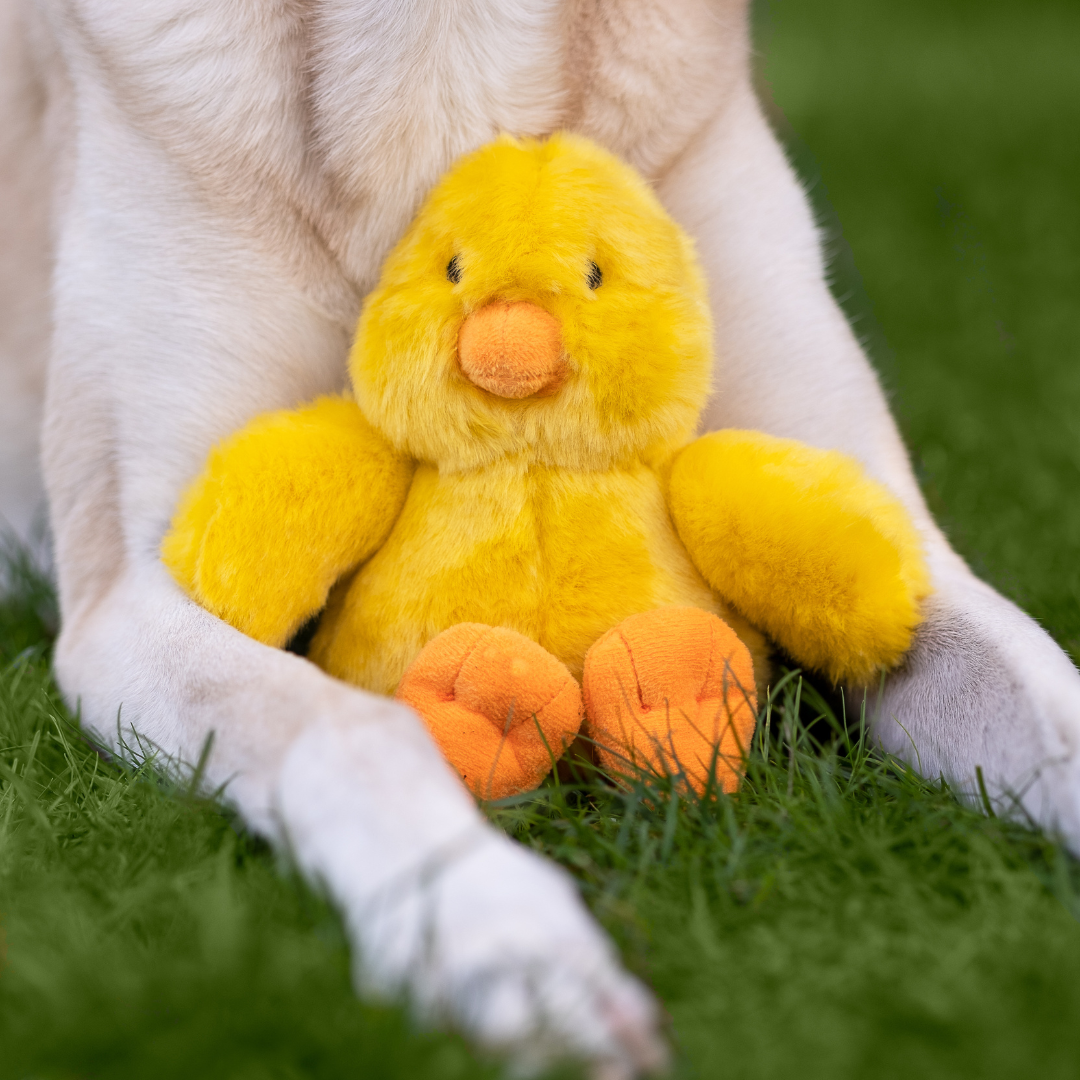Fluff &amp; Tuff Howie Duck plush dog toy