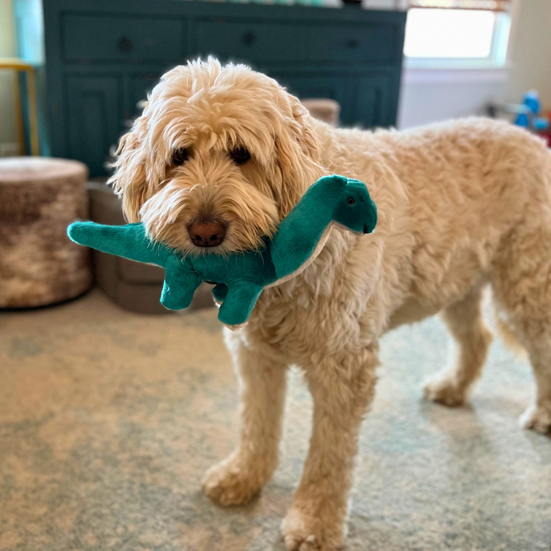 Fluff &amp; Tuff Ross Brachiosaurus plush dog toy