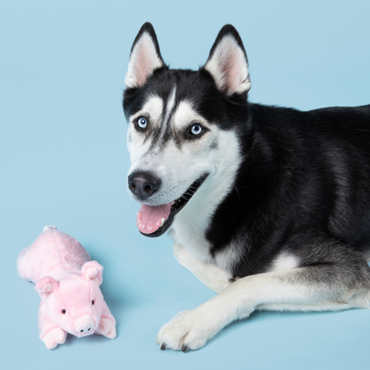 Fluff &amp; Tuff Petey Pig plush dog toy