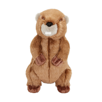 Fluff &amp; Tuff Troy Beaver plush dog toy