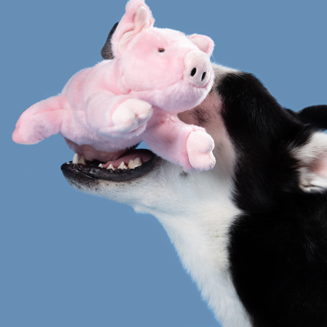 Fluff &amp; Tuff Petey Pig plush dog toy