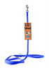 Blue GoGo nylon dog leash, 3/8" wide by 4 feet
