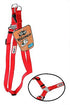 Red GoGo nylon step-in dog harness, large