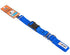 Blue GoGo nylon martingale dog collar, medium