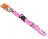 Pink GoGo nylon martingale dog collar, medium