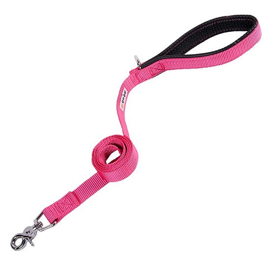 Pink GoGo nylon dog leash, 1" wide by 4 feet