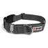 Gray GoGo nylon martingale dog collar, medium/large