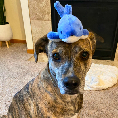 Fluff &amp; Tuff Baby Bruce Shark plush dog toy