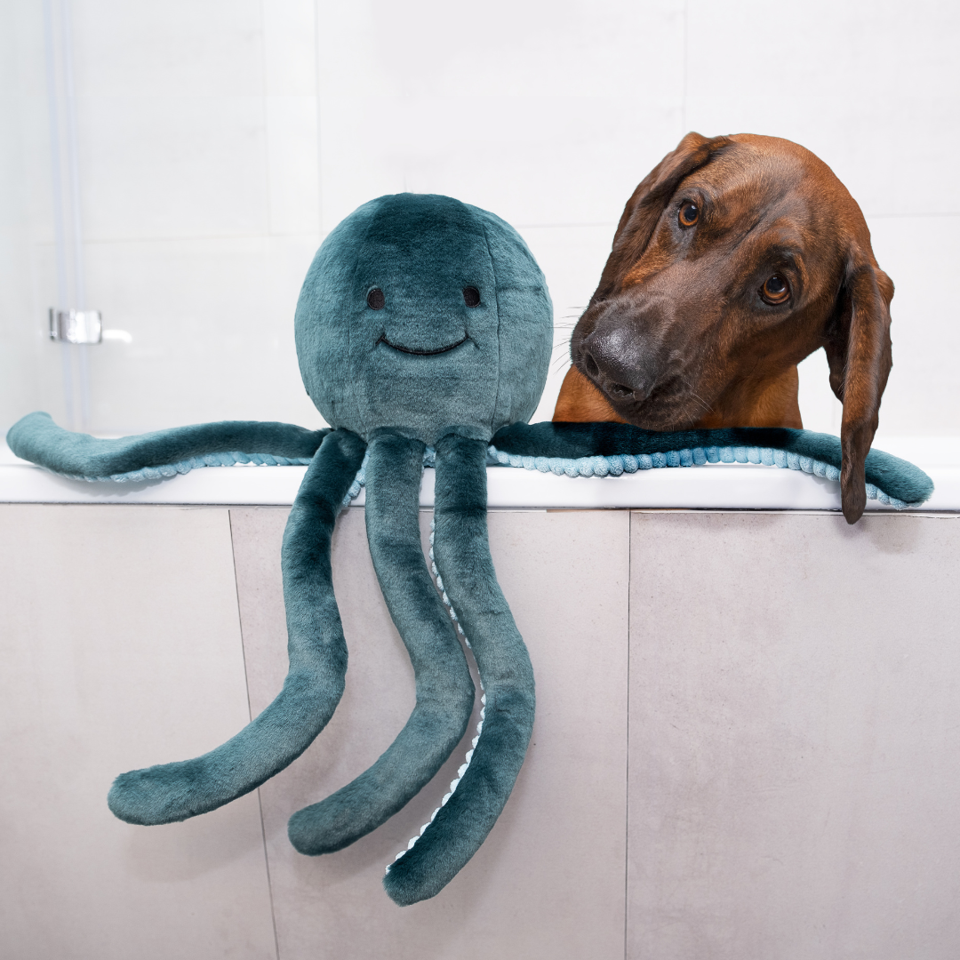 Fluff &amp; Tuff Stevie Octopus plush dog toy