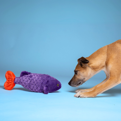 Fluff &amp; Tuff Cici the Tropical Fish plush dog toy