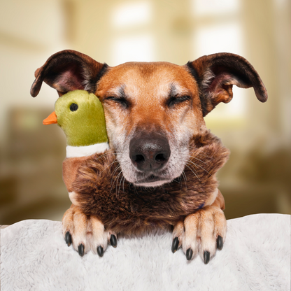 Fluff &amp; Tuff Morley Mallard plush dog toy