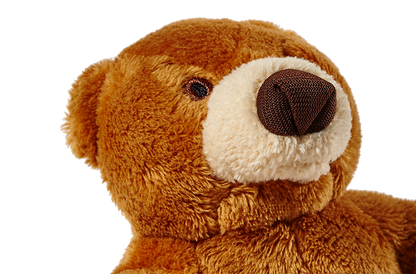 Fluff &amp; Tuff Cubby Bear plush dog toy