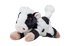 Fluff & Tuff Marge Cow plush dog toy