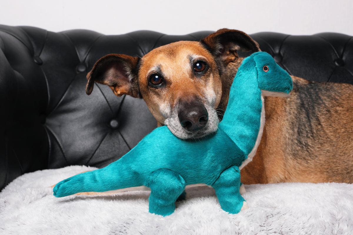 Fluff &amp; Tuff Ross Brachiosaurus plush dog toy