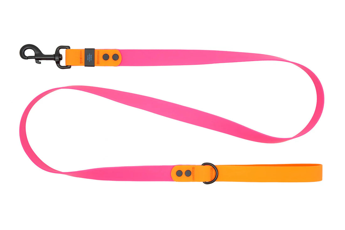 RC PETS WATERPROOF LEASH 3/4X5 AZALEA ORANGE