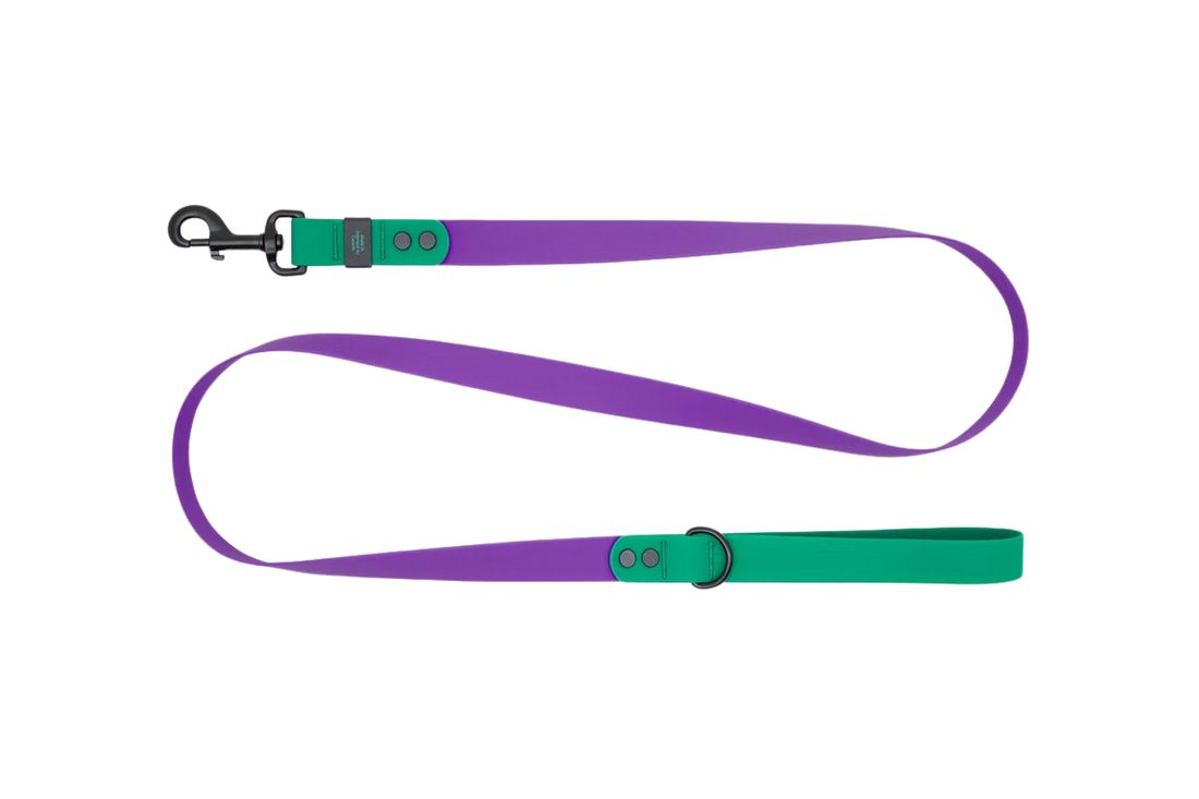 RC PETS WATERPROOF LEASH 3/4X5 PURPLE PARAKEET